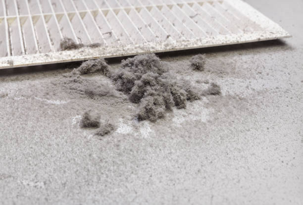 Best HVAC System Cleaning  in Frankfort, IL