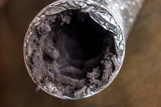 Best Dryer Vent Cleaning Services  in Frankfort, IL