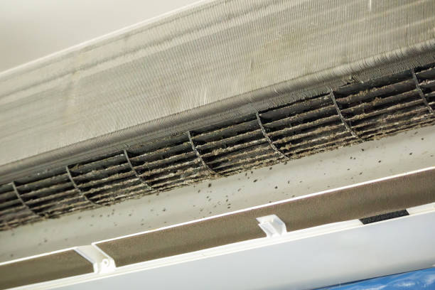 Best Air Duct Cleaning Near Me  in Frankfort, IL