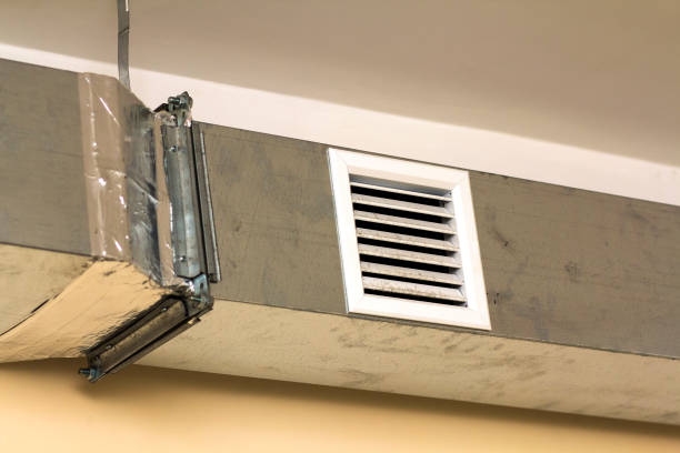 Best Home Air Vent Cleaning  in Frankfort, IL